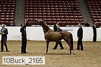 10buck_2165 proof