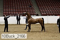 10buck_2166 proof