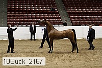 10buck_2167 proof