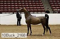 10buck_2168 proof
