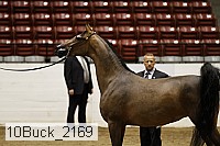 10buck_2169 proof