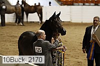 10buck_2170 proof