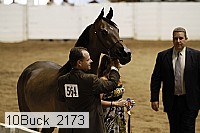 10buck_2173 proof