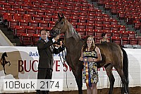 10buck_2174 proof
