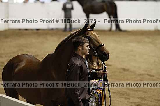 Proof 10buck_2175