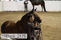 10buck_2175 proof