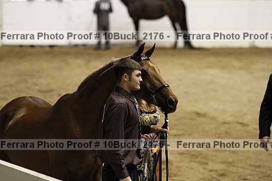 Proof 10buck_2176