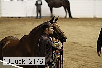 10buck_2176 proof