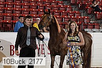 10buck_2177 proof