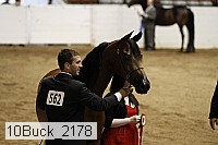 10buck_2178 proof
