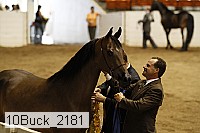 10buck_2181 proof