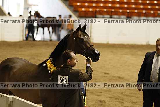 Proof 10buck_2182
