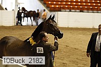 10buck_2182 proof