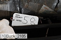 10buck_2185 proof