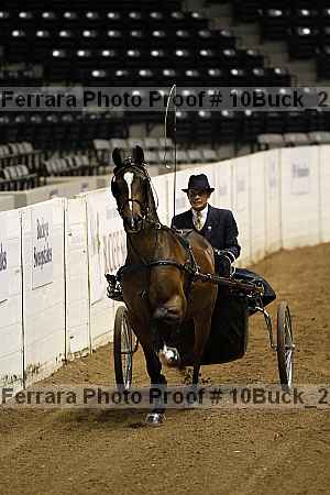 Proof 10buck_2186