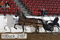 10buck_2187 proof