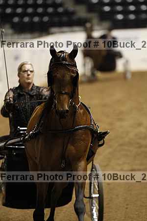 Proof 10buck_2189