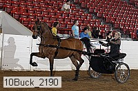 10buck_2190 proof