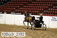 10buck_2192 proof