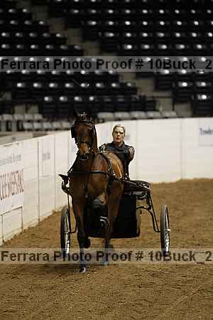 Proof 10buck_2193