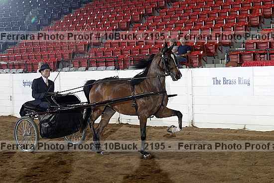Proof 10buck_2195