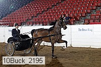 10buck_2195 proof