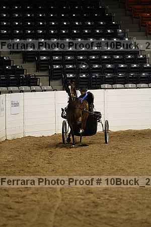 Proof 10buck_2198