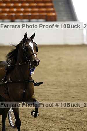 Proof 10buck_2199