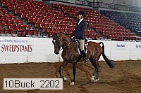 10buck_2202 proof