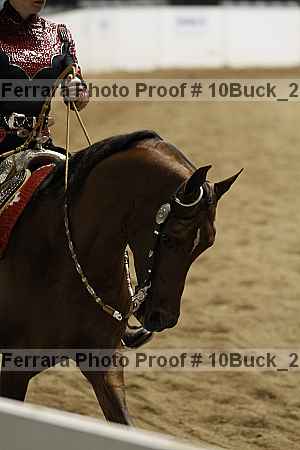Proof 10buck_2234
