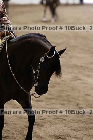 Proof 10buck_2244