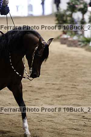 Proof 10buck_2245
