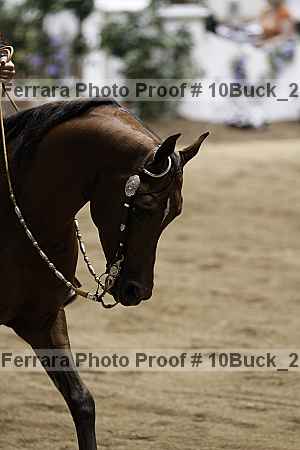 Proof 10buck_2248