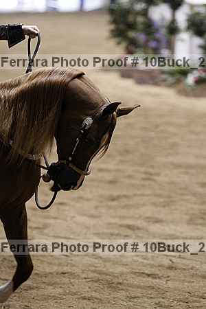 Proof 10buck_2249