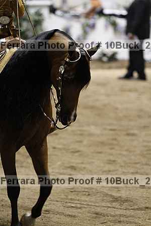 Proof 10buck_2254