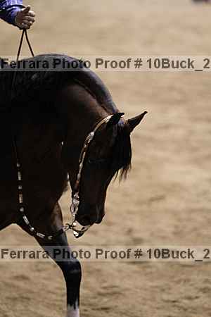 Proof 10buck_2260