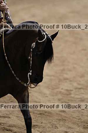 Proof 10buck_2261