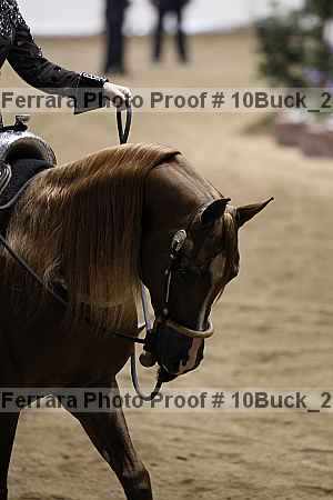 Proof 10buck_2262