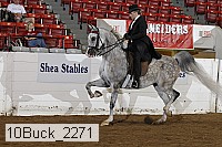 10buck_2271 proof