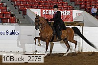 10buck_2275 proof