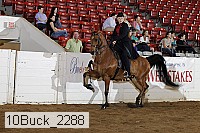 10buck_2288 proof