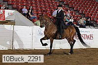 10buck_2291 proof