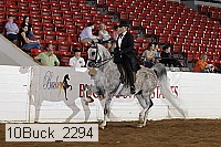 10buck_2294 proof