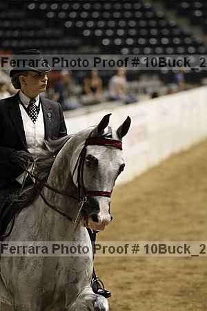 Proof 10buck_2295