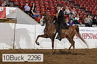 10buck_2296 proof