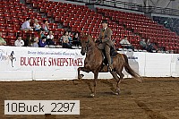10buck_2297 proof