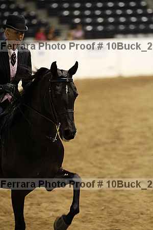 Proof 10buck_2300