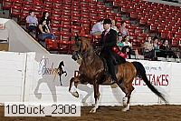 10buck_2308 proof