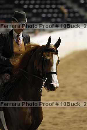 Proof 10buck_2313