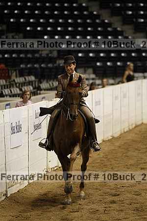 Proof 10buck_2314
